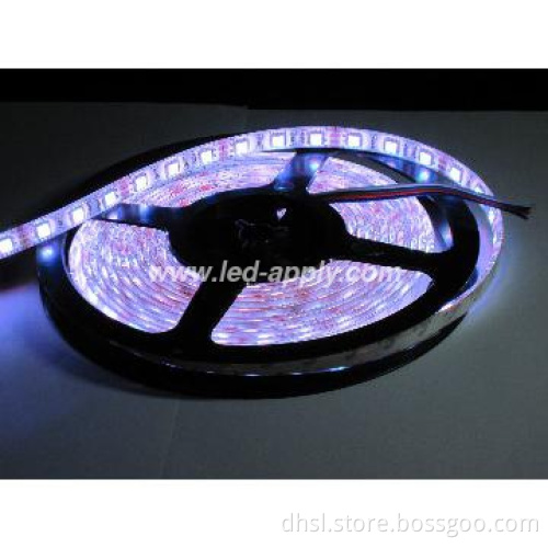smd5050 led strip light 30pcs led per meter- (3)